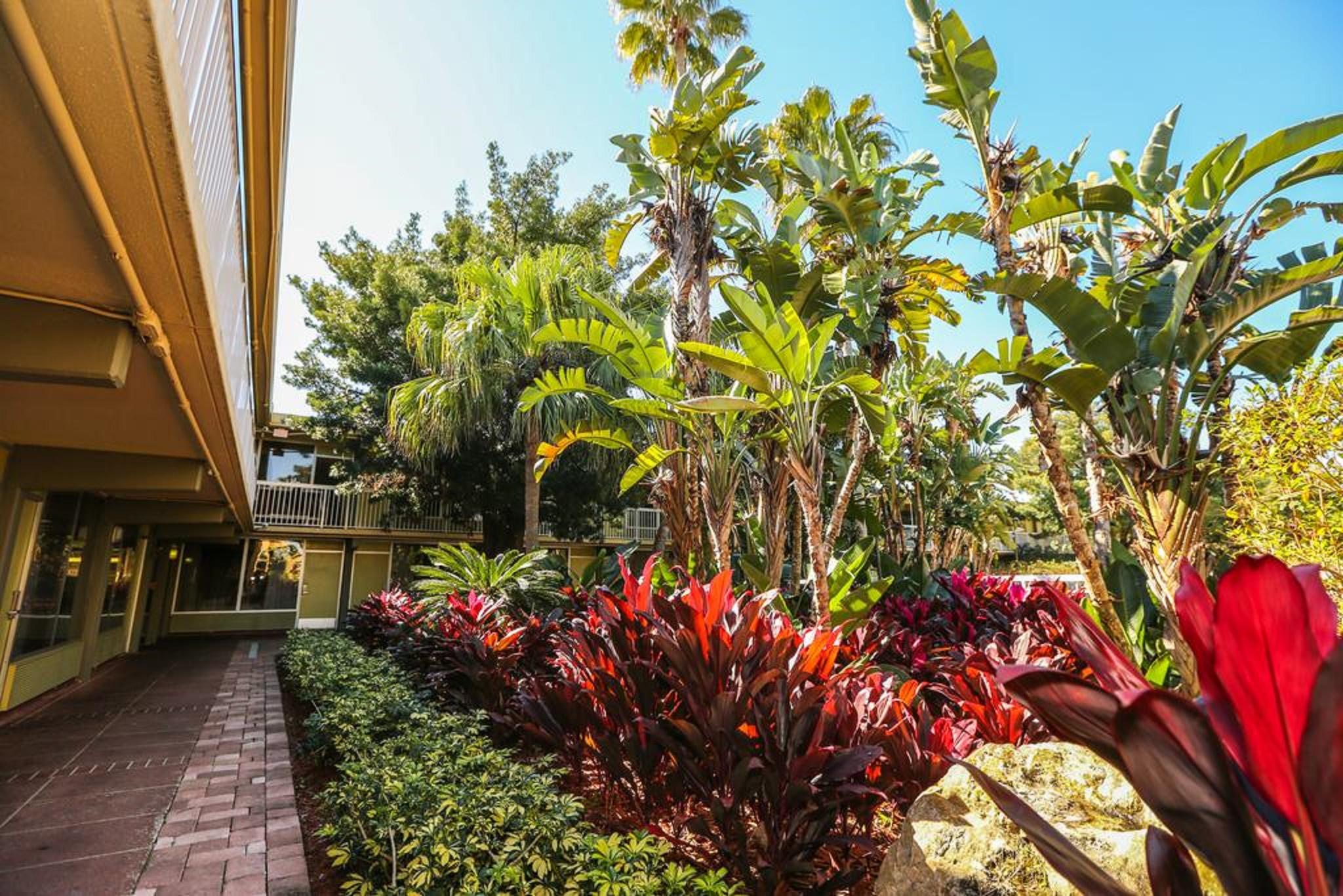 Quality Inn & Conference Center Tampa Exterior photo